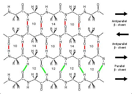 Peptide Secondary Structure Tutorial.